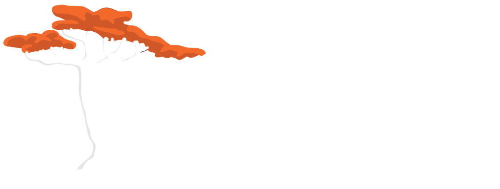 TOA-Logo-(Culture-&-Diversity)_White